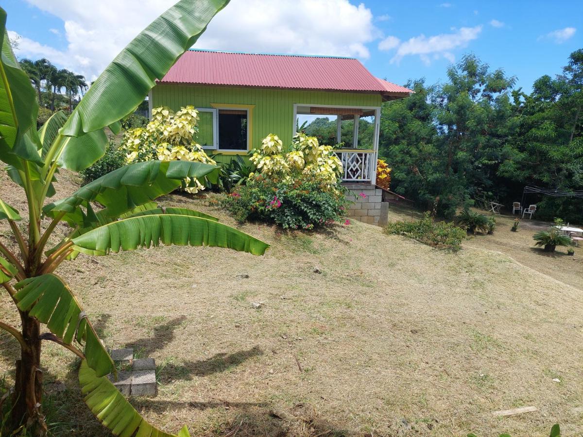 Diamond View Cottages Roseau Ngoại thất bức ảnh