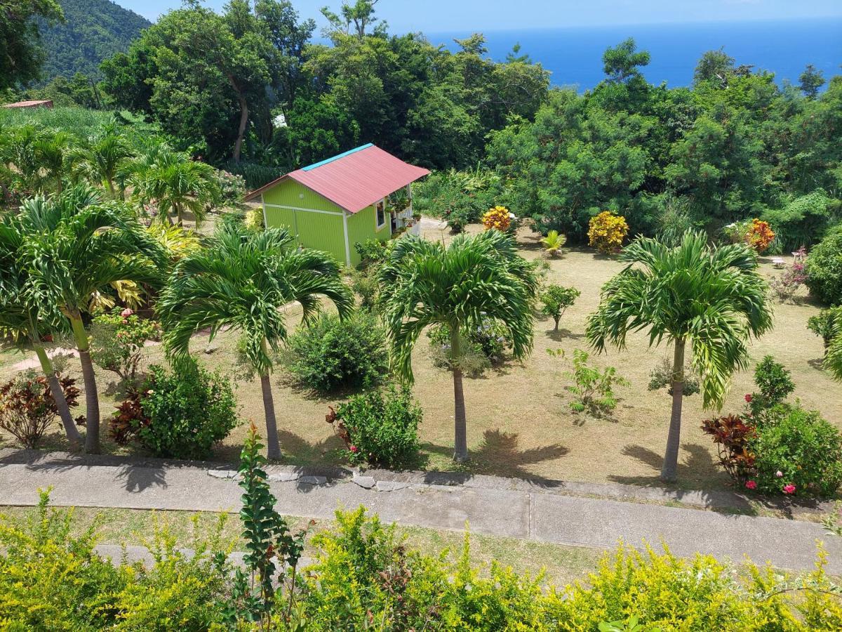 Diamond View Cottages Roseau Ngoại thất bức ảnh