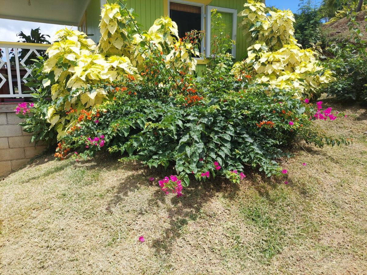 Diamond View Cottages Roseau Ngoại thất bức ảnh